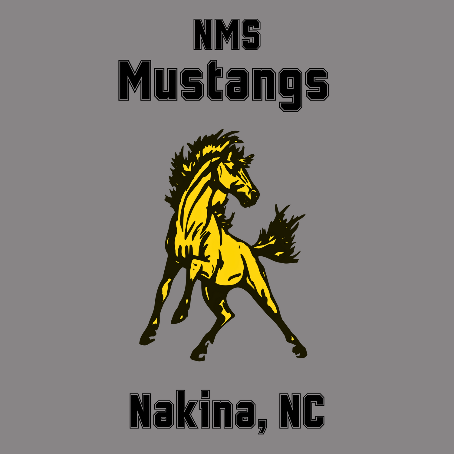 Nakina Middle School